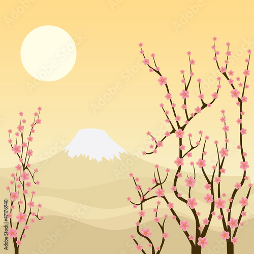 Tapeta ścienna Drzewo sakura.