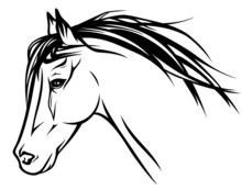 Running Horse Head - Realistic Vector Illustration