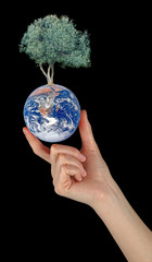 Wall Mural - Gift of Earth.Elements of this image furnished by NASA