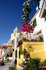 Poster - procida