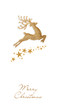 Golden Christmas deer and stars on a white background