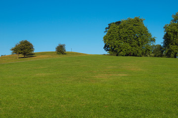 Poster - Primrose Hill London