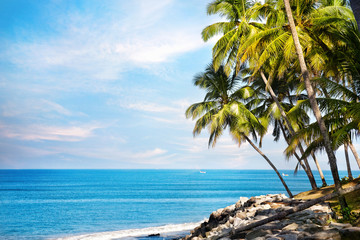 Wall Mural - Ocean tropical view