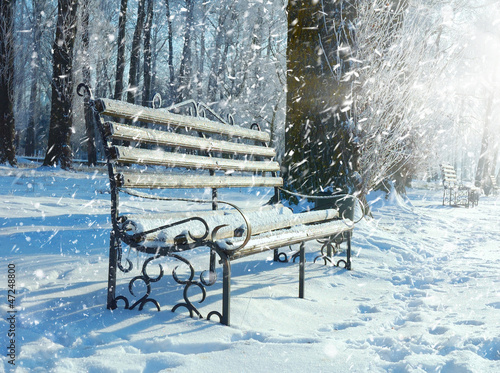 Fototapeta na wymiar Bench in the park covered with snow