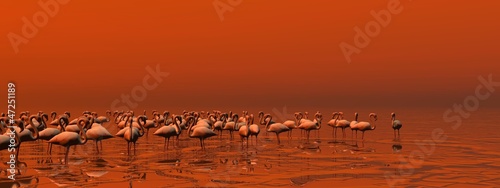 Fotoboard na płycie Stado flamingów - 3d render