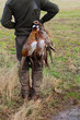 Gamekeeper carrying the pheasants