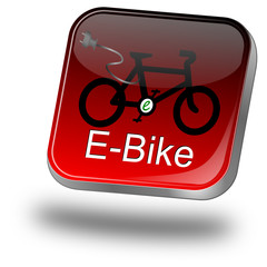 Canvas Print - E-Bike Button