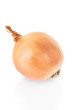Onion on white with clipping path