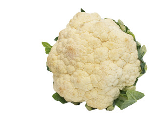 Canvas Print - Fresh cauliflower cabbage vegetable on white background