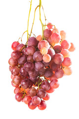 Canvas Print - Red grapes