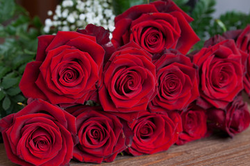 beautiful red roses