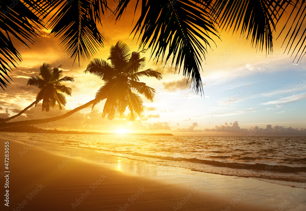 Zachód słońca na plaży Morza Karaibskiego - obrazy, fototapety, plakaty 
