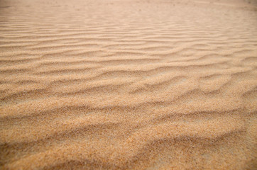  sand texture