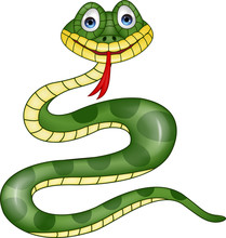 Funny Green Snake Carton