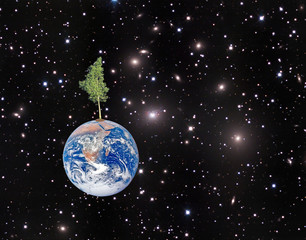 Wall Mural - Earth.Elements of this image furnished by NASA