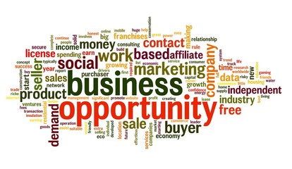 Wall Mural - Business opportunity concept in word tag cloud