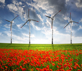 Wall Mural - red poppy field with wind turbine