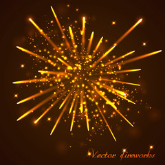 Beautiful  Fireworks. Vector