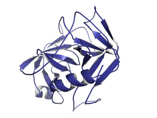 Wall Mural - Prostate-specific antigen (PSA), chemical structure