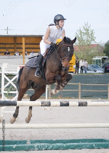 Cheval Qui Saute Un Obstacle Photo Stock Adobe Stock Cheval Qui Saute Un Obstacle Photo Stock Adobe Stock