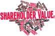 Word cloud for Shareholder value