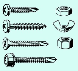 Canvas Print - Set of screws and nuts