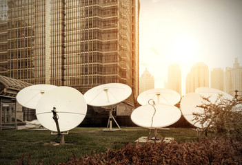 Wall Mural - satellite dish