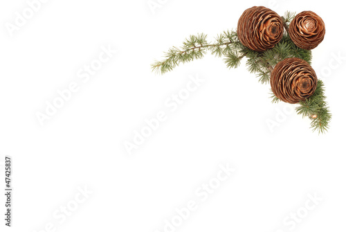 Decoris Natale.Decori Di Natale Christmas Decorations Buy This Stock Photo And Explore Similar Images At Adobe Stock Adobe Stock