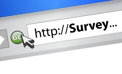 online survey