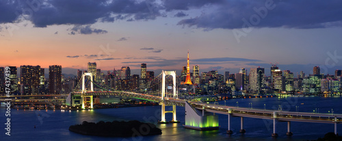 Naklejka na drzwi Tokyo Bay Panorama