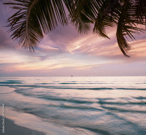 Naklejka na szybę Tropical beach