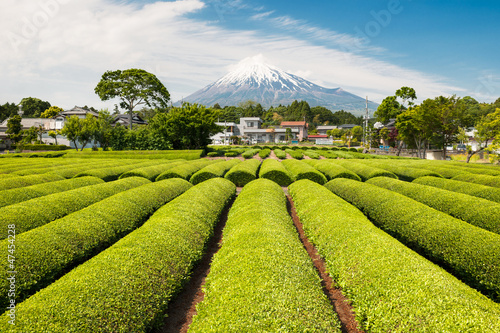Board z aluminiowym obramowaniem Zielona herbata z mt fuji
