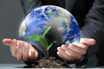 green plant on earth