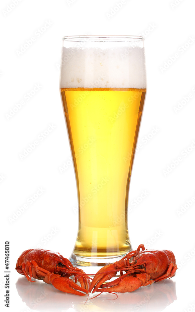 Tasty boiled crayfishes and beer isolated on white