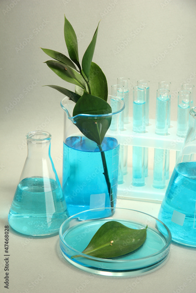 test-tubes and leaves tested in petri dishes on grey background