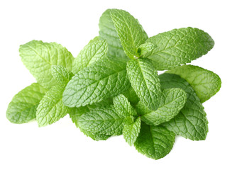 Poster - Fresh mint on a white background