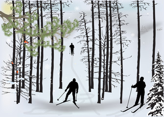 skiers silhouette in snow winter forest