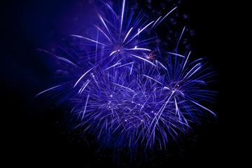 Colorful fireworks on the black sky