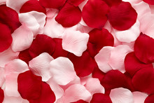 Romantic Red And Pink Rose Petals