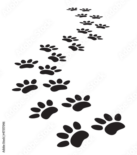 Naklejka na szybę animal paw prints