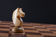 © Evgeniy Vorobiev - knight chess piece