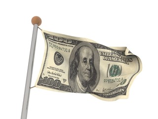 The 100 US dollar flag