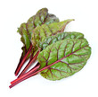 spinach beet leaves