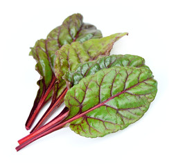 Wall Mural - spinach beet leaves