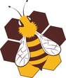 Pszczoła na plastrze miodu