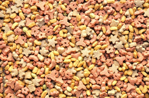 Sucha Karma Dla Psa Kota Buy This Stock Photo And Explore