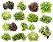 Varieties Of Salads