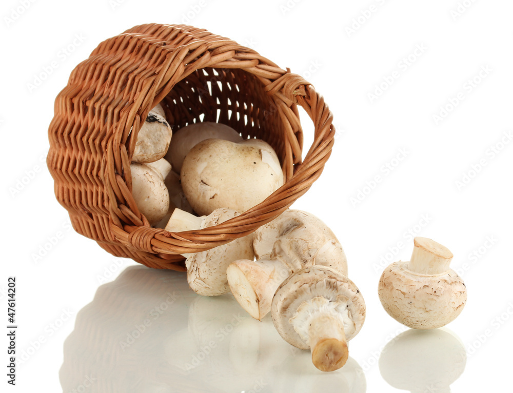 Fresh mushrooms in basket isolated on white