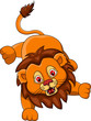 funny Lion cartoon