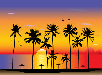 Tropical sunset or sunrise. Vector illustration